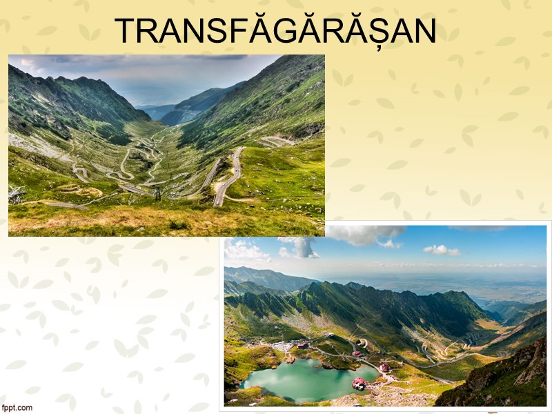 Transfăgărășan